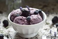 Double-Berry Coconut Ice Cream (Paleo, Dairy-Free)