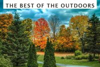 Top Outdoor Activities to Experience in Vermont
