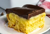 Boston Cream Pie Cake from a Box Mix — Quick Layered Dessert