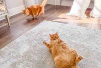 Meow Monday: Cute Cat Photos and Tips to Brighten Your Week
