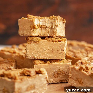 Stack of Biscoff fudge. The top has a bite removed.