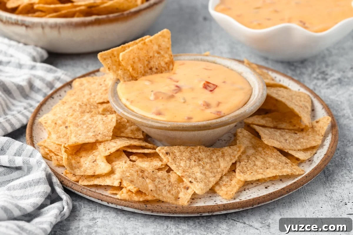 Creamy Velveeta Cheese Dip Recipe for Parties and Game Day 7 img 1024 6