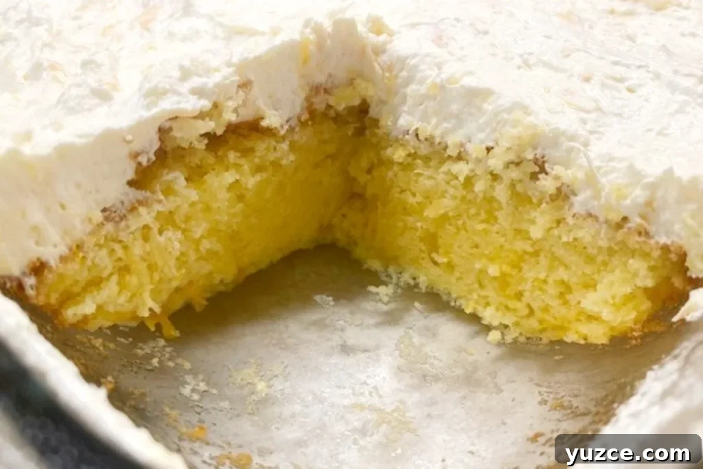 Southern Pig Pickin' Cake Recipe: Classic Layered Dessert Guide 2 a peek inside a light delicious pig pickin' cake