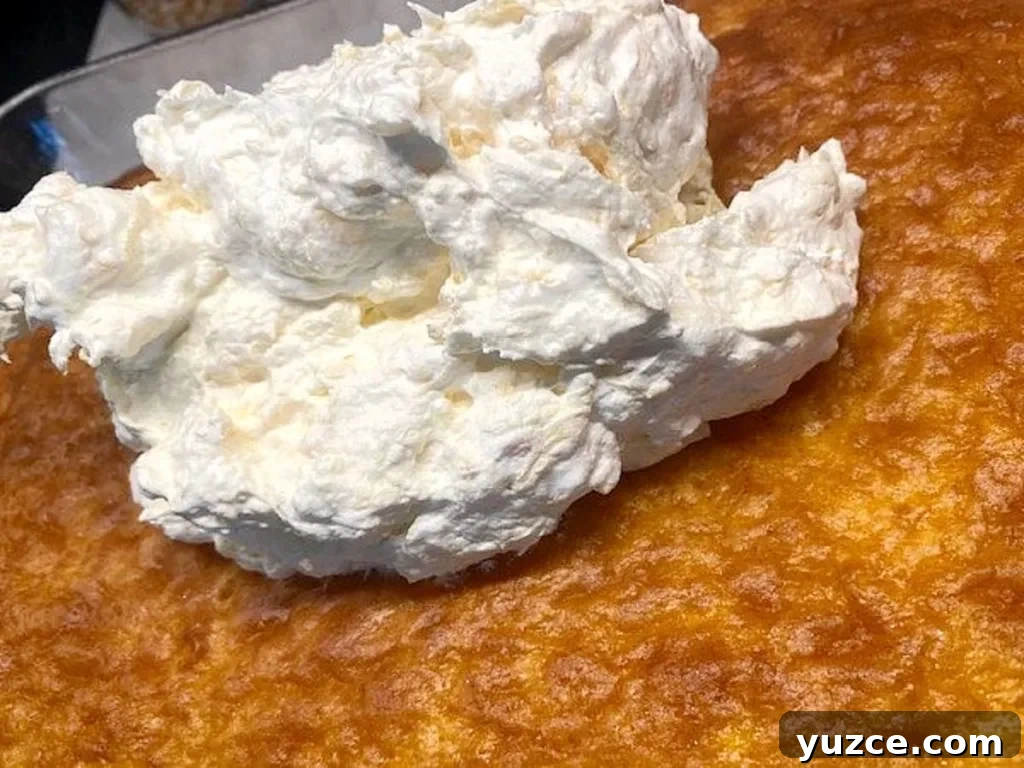 Southern Pig Pickin' Cake Recipe: Classic Layered Dessert Guide 7 img 10331 6