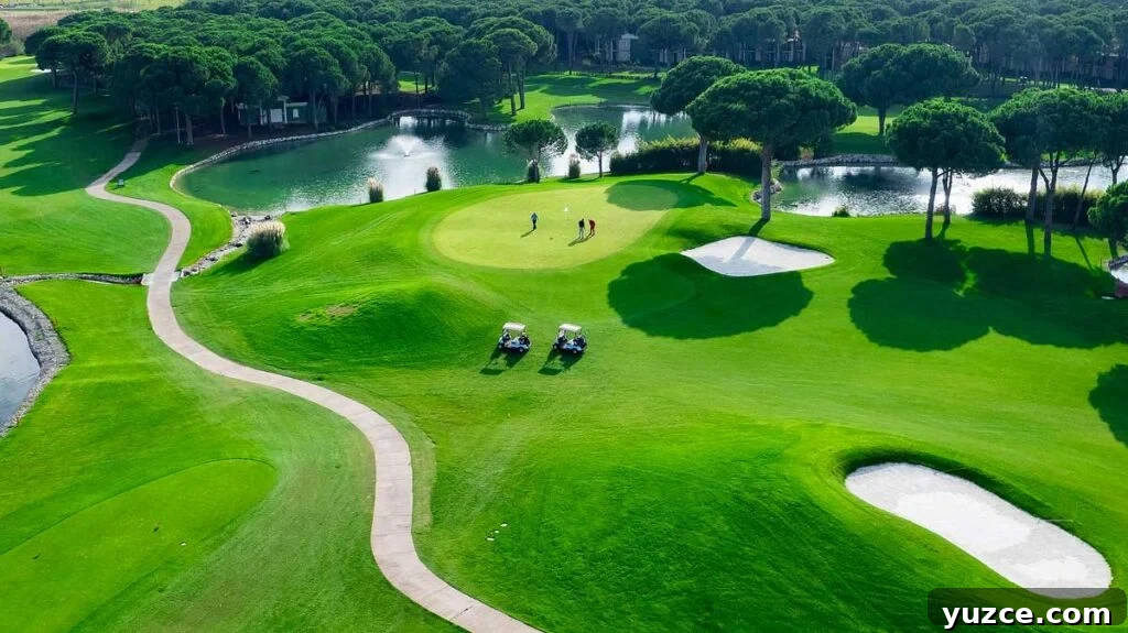 Top U.S. Golf Courses from PGA TOUR 2K23 You Can Play in Real Life 2 Top view of two men playing golf on a sunny summer day. Aerial view of the green golf course. Hitting the ball with a golf stick. An active type of recreation. Golf car