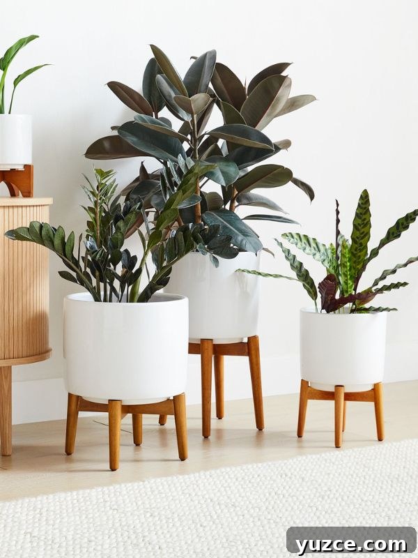 Top Cyber Monday Home & Kitchen Deals I Recommend 7 img 104689 6