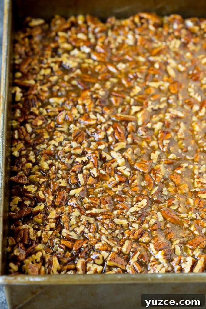 Pecans and brown sugar over crust Pecans and brown sugar poured over a cookie crust.