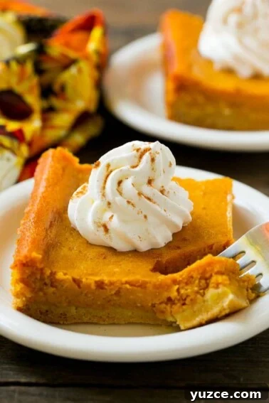 Irresistible Pecan Pie Bars Recipe with Buttery Shortbread Crust 2 A piece of pumpkin gooey butter cake.
