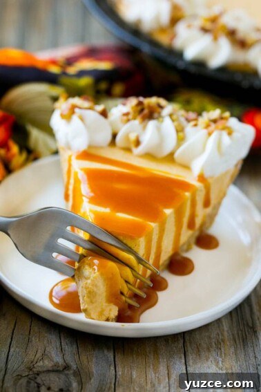 Irresistible Pecan Pie Bars Recipe with Buttery Shortbread Crust 5 A slice of no bake pumpkin cheesecake.