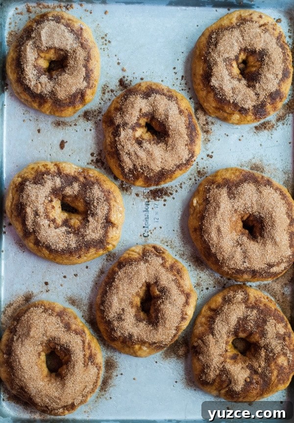 Pumpkin Bagels with Ginger Cinnamon Sugar Crunch Topping 4 Pumpkin bagels recipe with ginger cinnamon sugar | @cookiedesire