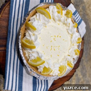 No-Bake Lemon Cheesecake Recipe — Creamy No-Bake Slice 2 No-Bake Lemon Cheesecake