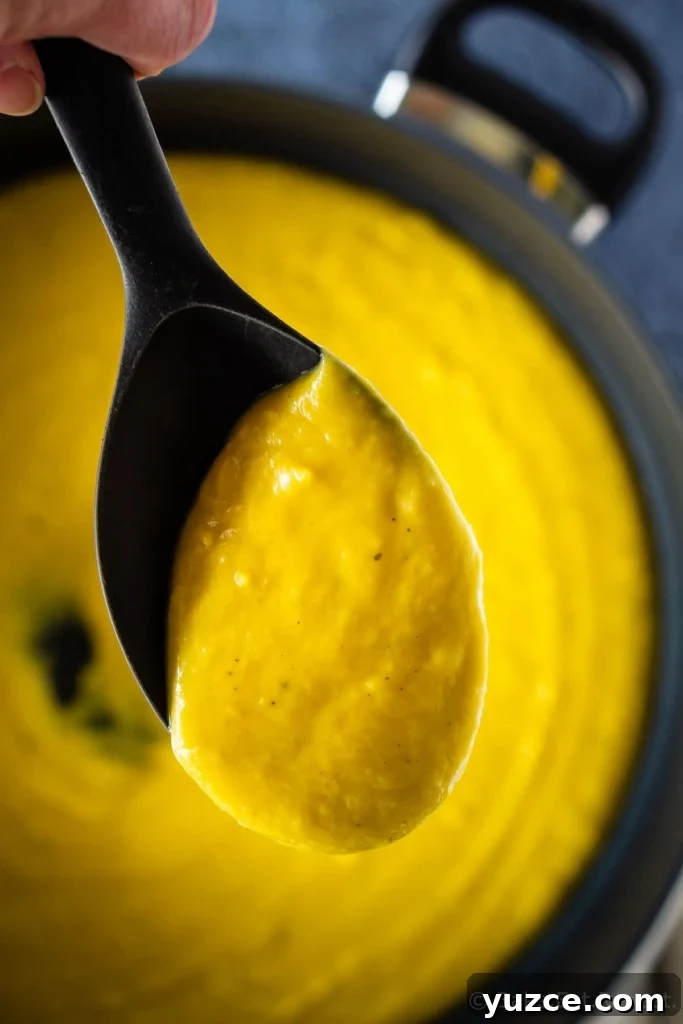 Creamy Butternut Squash Pasta Sauce Recipe for Fall Nights 4 Butternut squash pasta sauce