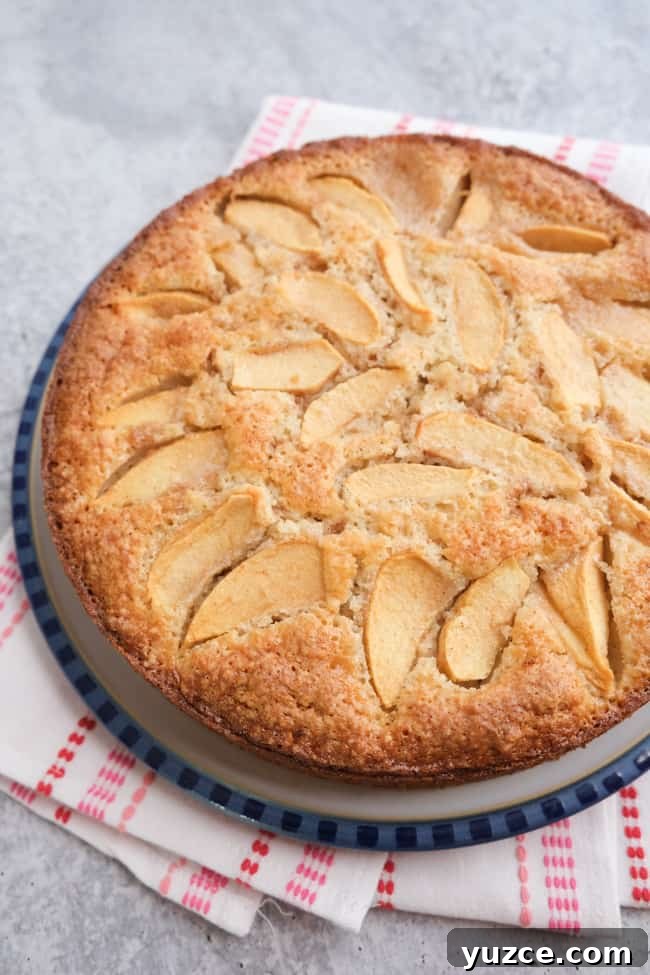German Apfelkuchen: Classic Apple Custard Cake Recipe 2 German apple custard cake