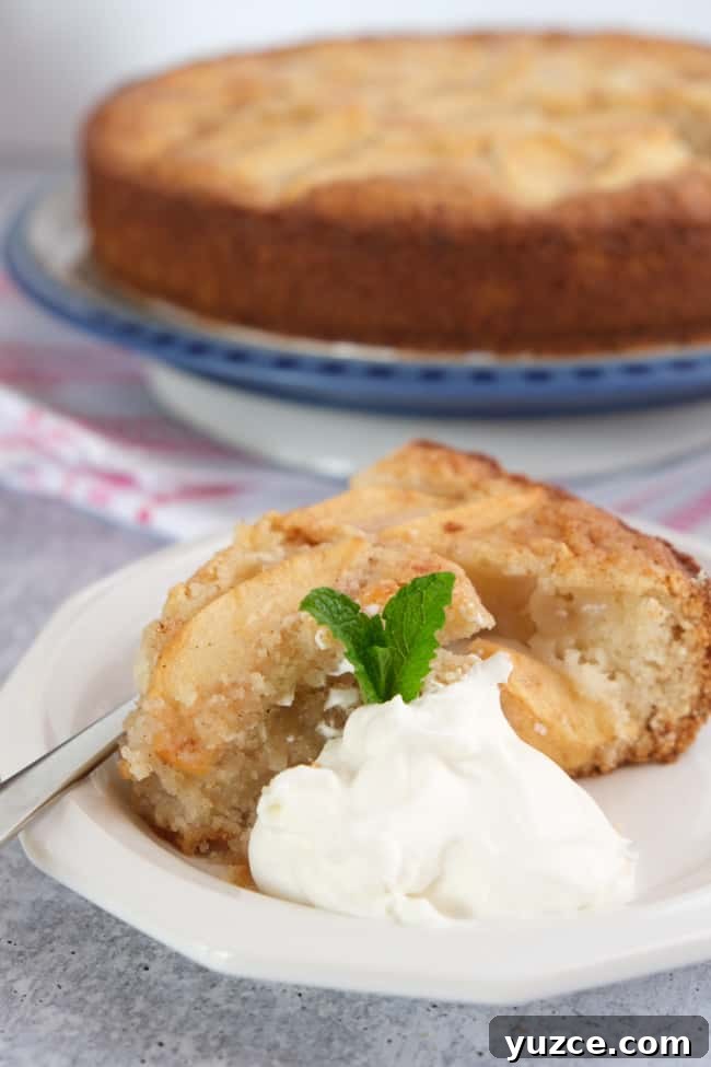 German Apfelkuchen: Classic Apple Custard Cake Recipe 3 apple custard cake