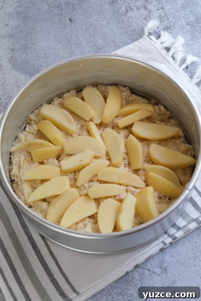 German Apfelkuchen: Classic Apple Custard Cake Recipe 13 add apples to dough