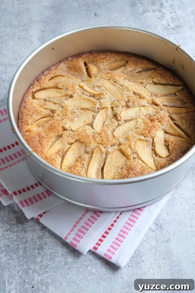 German Apfelkuchen: Classic Apple Custard Cake Recipe 17 baked apple cake