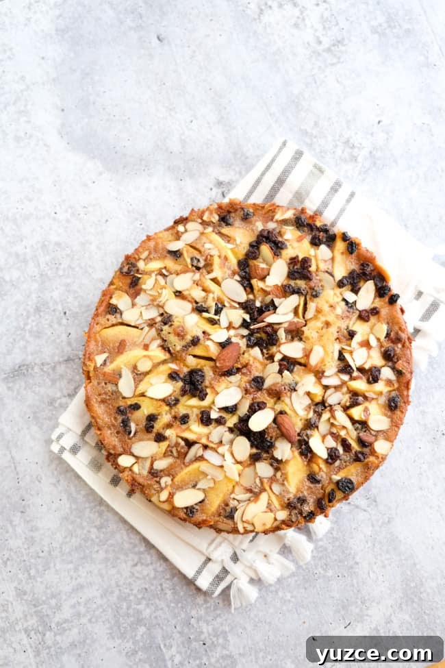 German Apfelkuchen: Classic Apple Custard Cake Recipe 6 German apple custard cake and currants