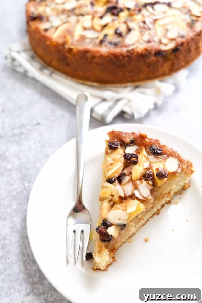 German Apfelkuchen: Classic Apple Custard Cake Recipe 7 slice of German apple custard cake