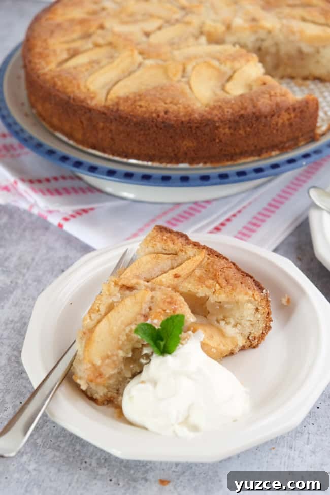 German Apfelkuchen: Classic Apple Custard Cake Recipe 8 German apple custard cake with whipped cream