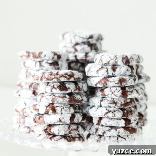 Peppermint Crinkle Cookies