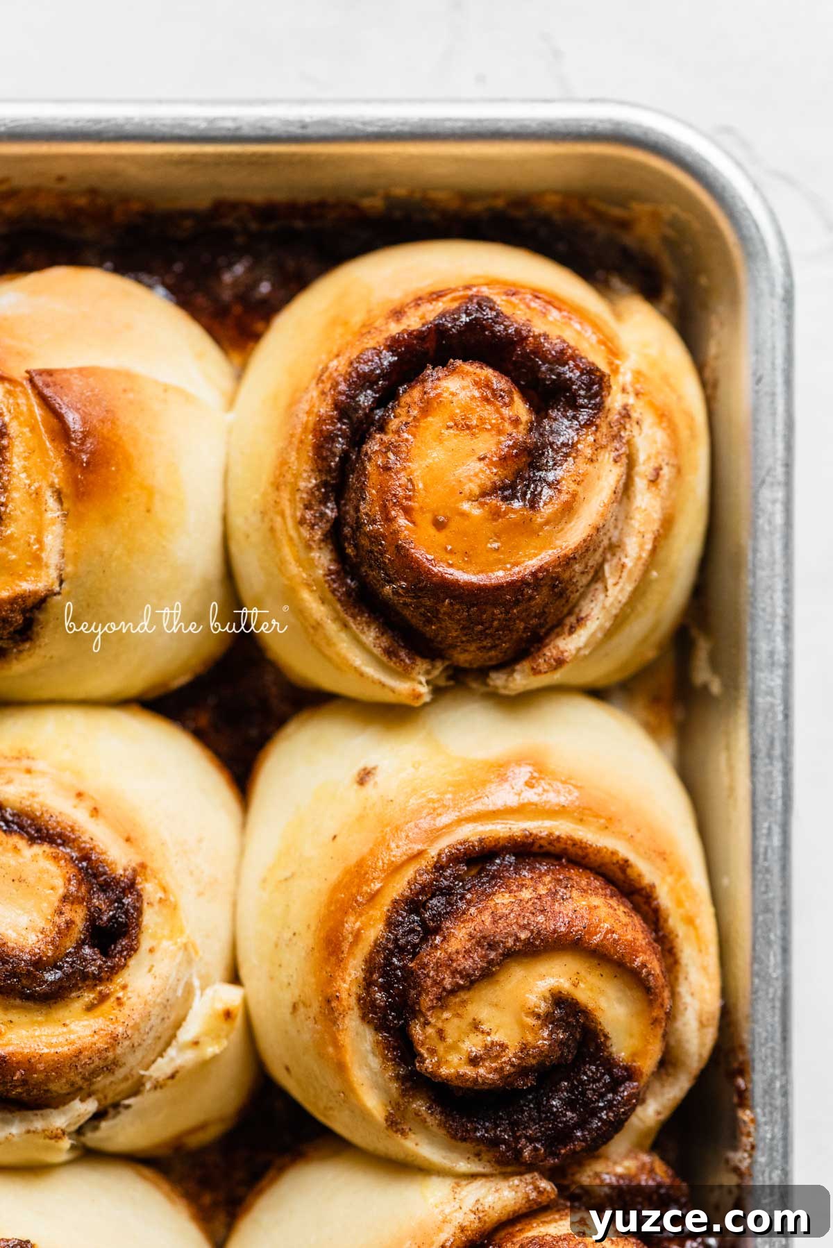 Cinnamon Rolls for Two: Small-Batch Recipe with Gooey Frosting 5 Small batch cinnamon rolls pre-frosted with cream cheese frosting from BeyondtheButter.com | © Beyond the Butter®