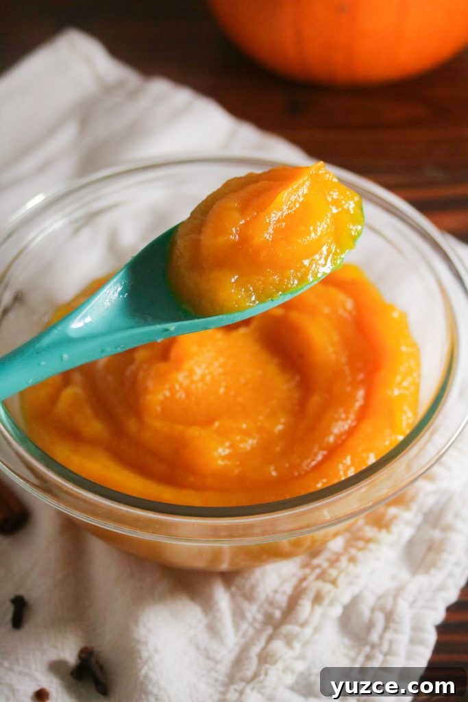 Homemade Pumpkin Puree: Simple Steps for Smooth, Flavorful Results 6 How to make pumpkin puree
