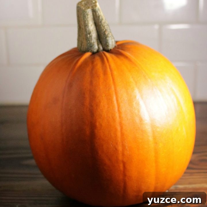 How to make pumpkin puree the easy way