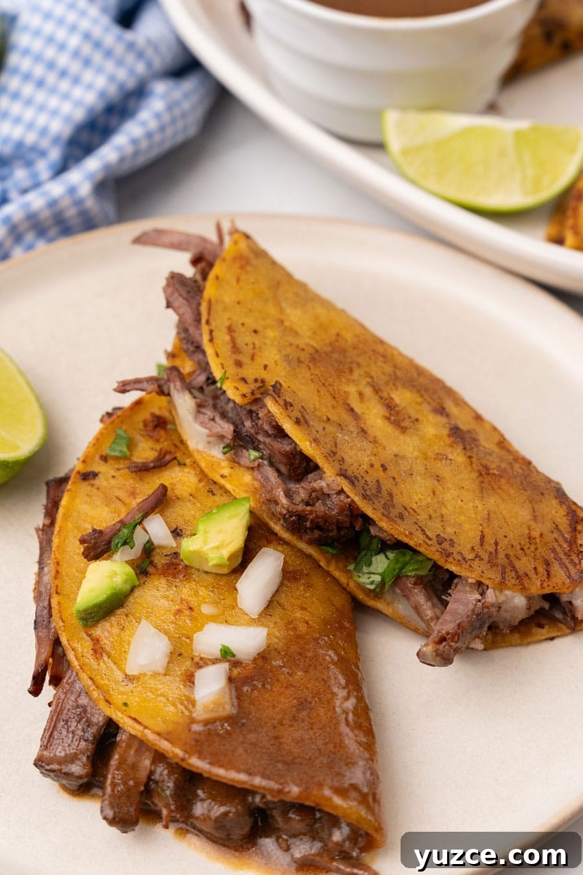 Instant Pot Birria Tacos Recipe: Flavorful Homemade Birria 12 two instant pot birria tacos on a white plate