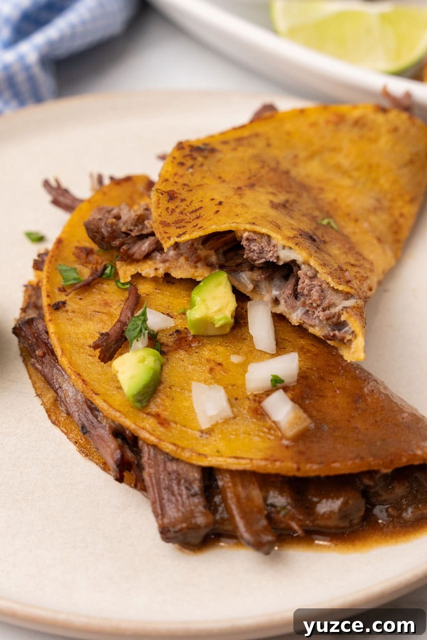 Instant Pot Birria Tacos Recipe: Flavorful Homemade Birria 13 two instant pot quesabirria tacos on a white plate