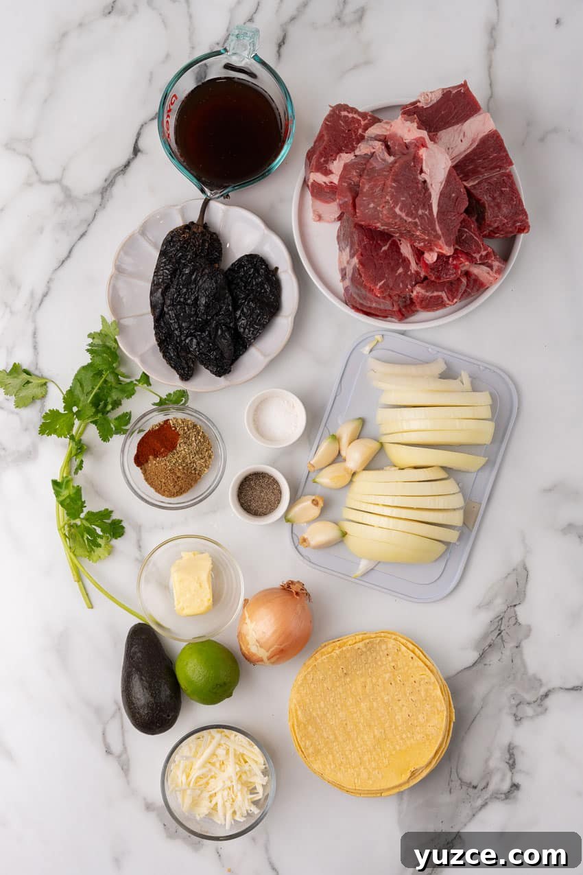Instant Pot Birria Tacos Recipe: Flavorful Homemade Birria 4 an overhead image showing the measured ingredients needed to make instant pot birria tacos