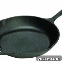 Lodge 10 Inch Cast Iron Chef Skillet