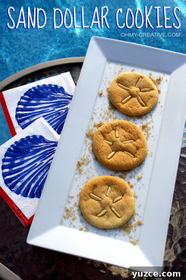 Underwater Adventure Party Ideas for Kids and Adults 10 Sand Dollar Cookies | OHMY-CREATIVE.COM