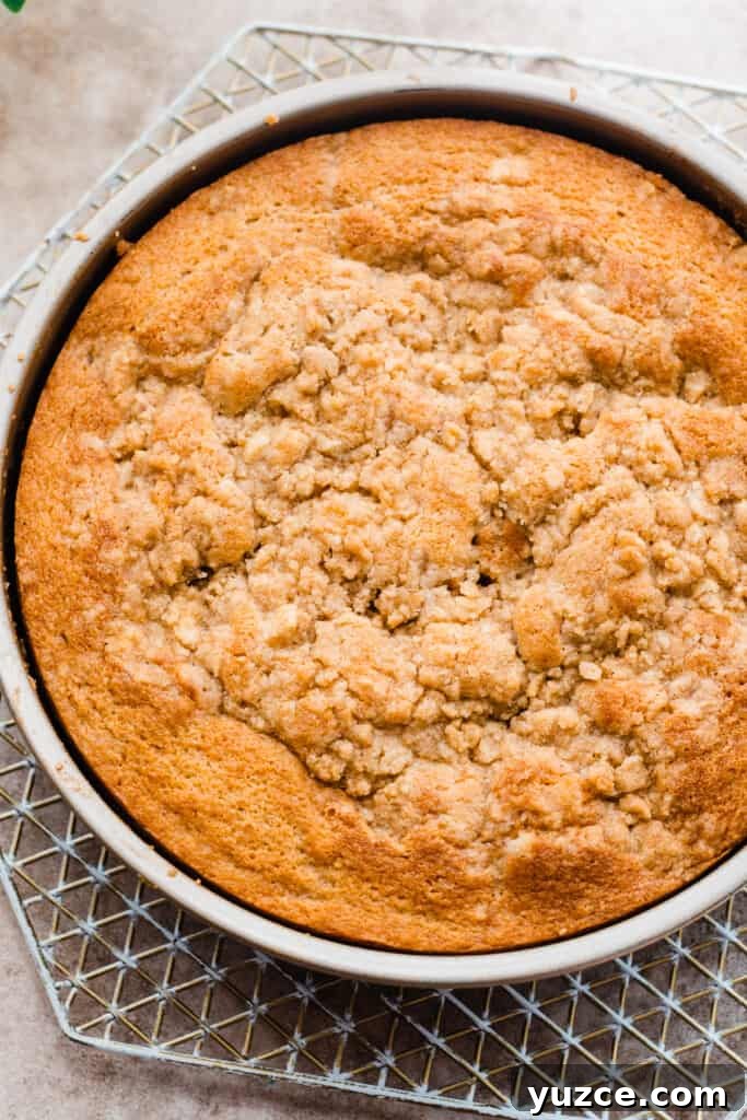 The baked cake in the pan.