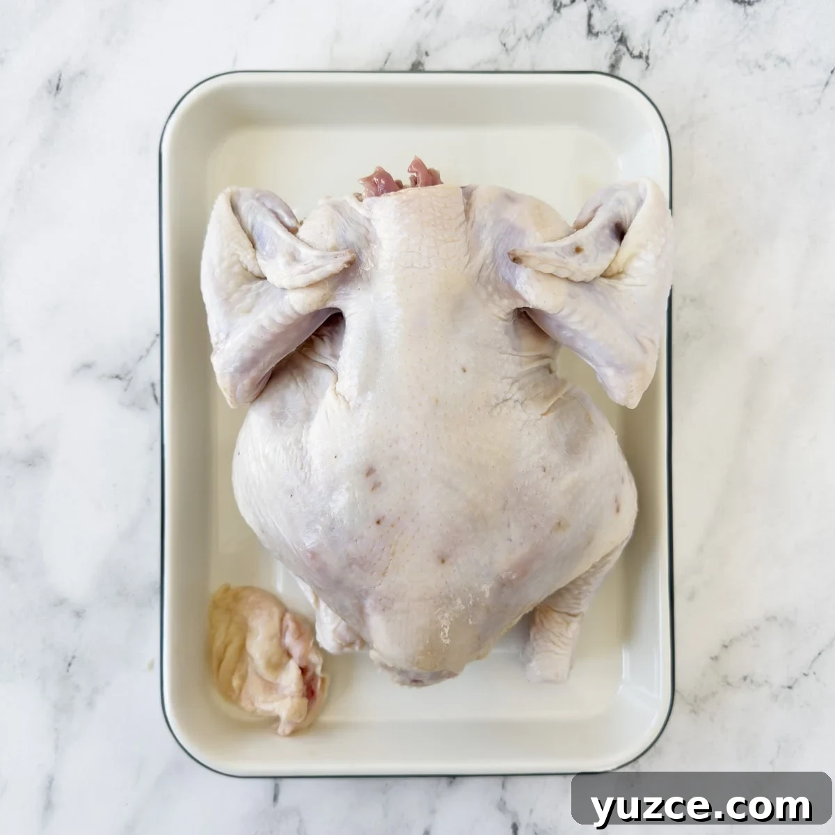 Perfectly Grilled Rotisserie Chicken: Tips for Juicy, Crispy Results 5 A whole chicken turned on it's breast side, wings folded back, on a white tray.