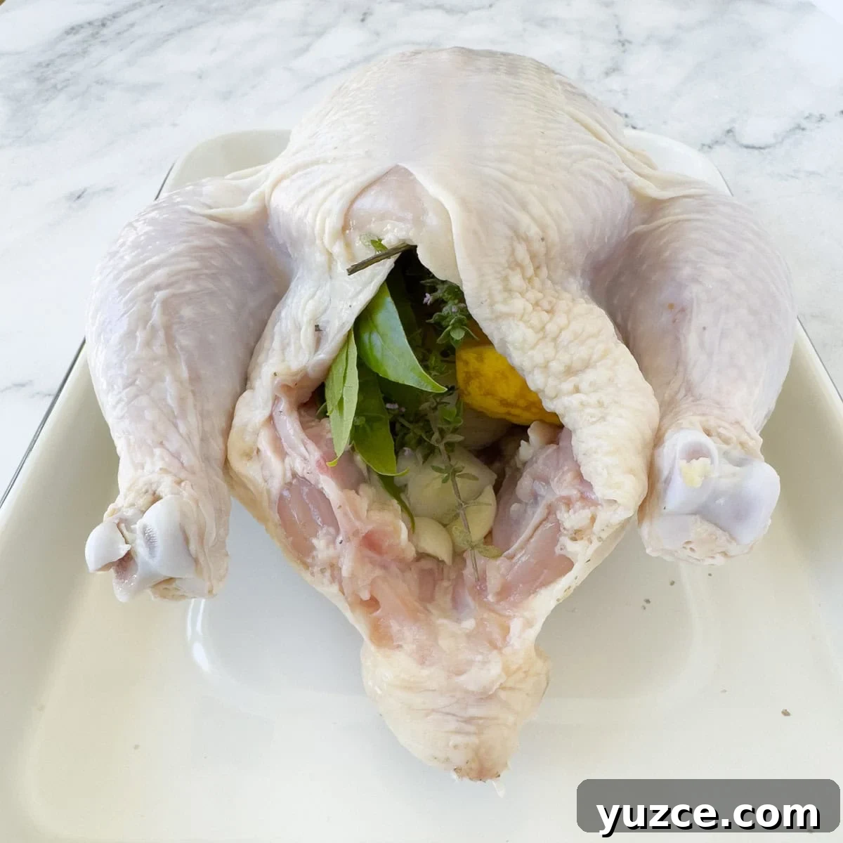 Perfectly Grilled Rotisserie Chicken: Tips for Juicy, Crispy Results 6 The cavity of a raw whole chicken stuffed with herbs, onion, and lemon.