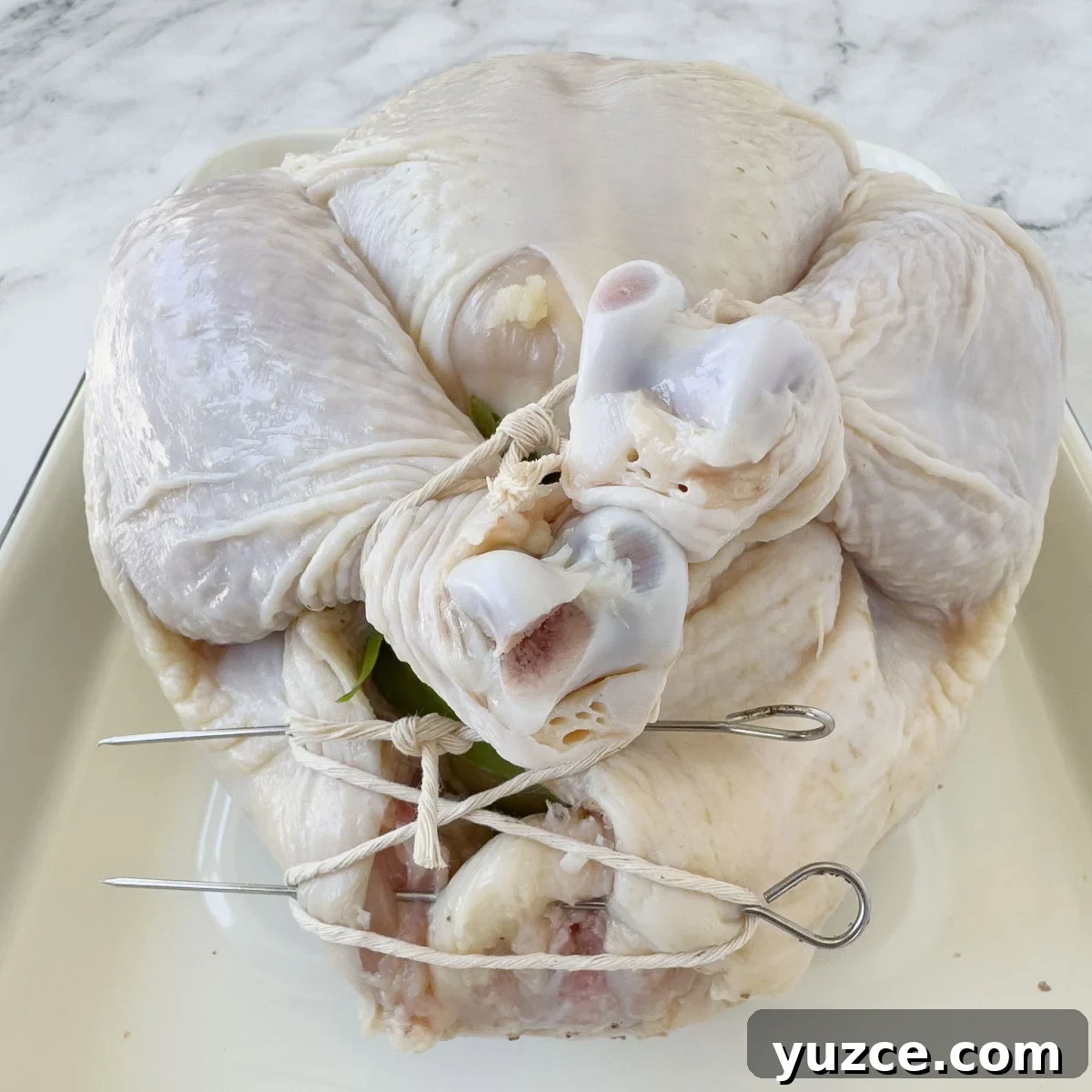 Perfectly Grilled Rotisserie Chicken: Tips for Juicy, Crispy Results 7 Whole raw chicken stuffed and trussed, legs tied and cavity closed with pins.
