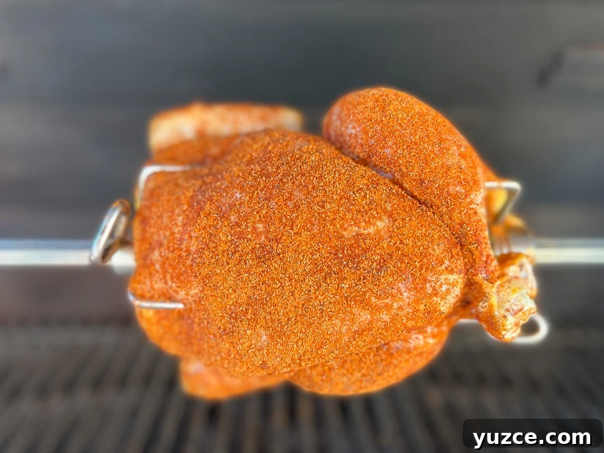 Perfectly Grilled Rotisserie Chicken: Tips for Juicy, Crispy Results 9 Whole chicken on rotisserie coated in a bright reddish-orange dry rub.