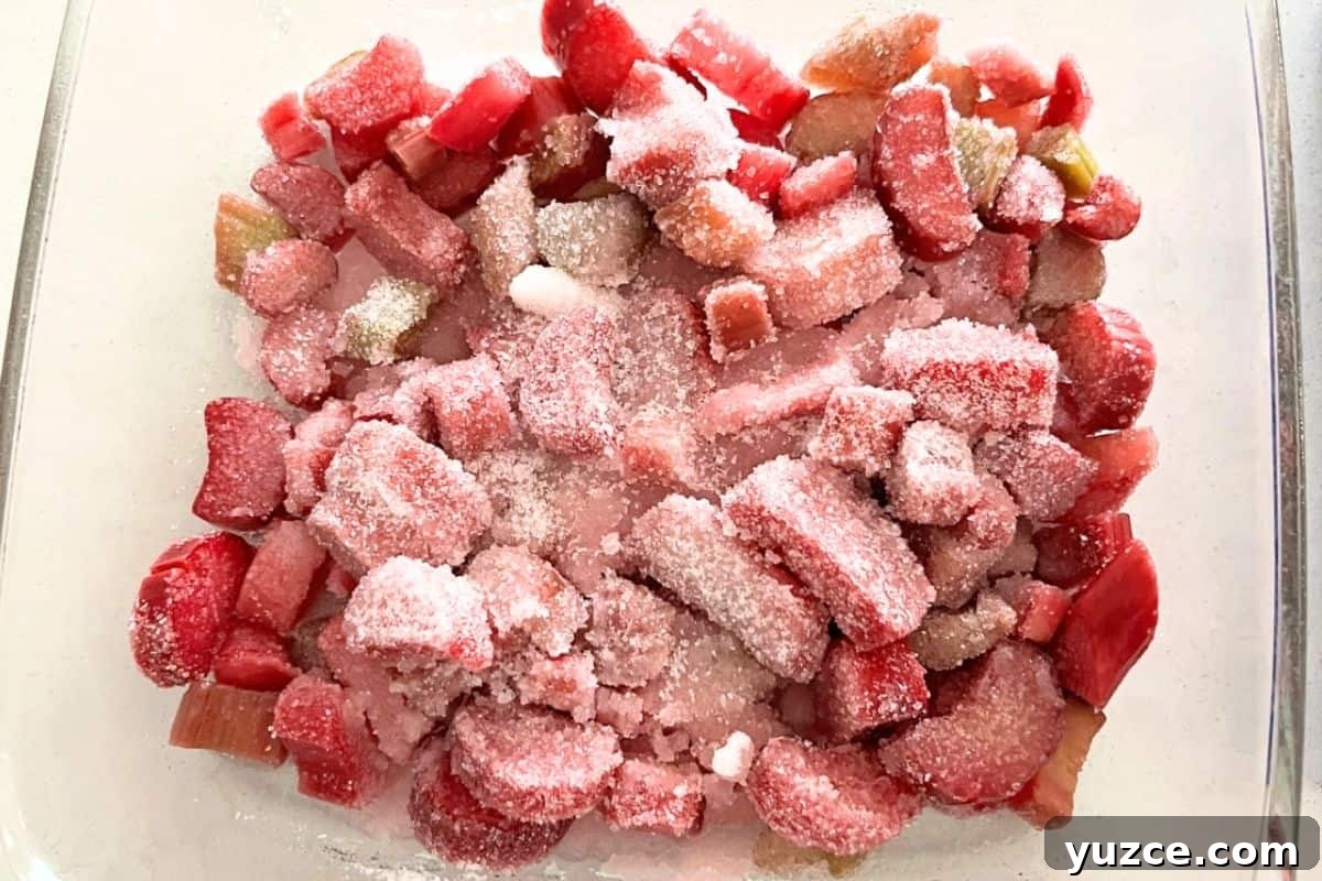 Simple Rhubarb Dump Cake Recipe for Perfect Spring Desserts 4 Rhubarb and sugar in pan