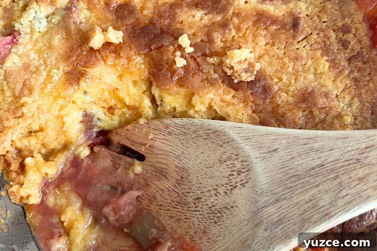 Simple Rhubarb Dump Cake Recipe for Perfect Spring Desserts 7 Finished rhubarb dump cake