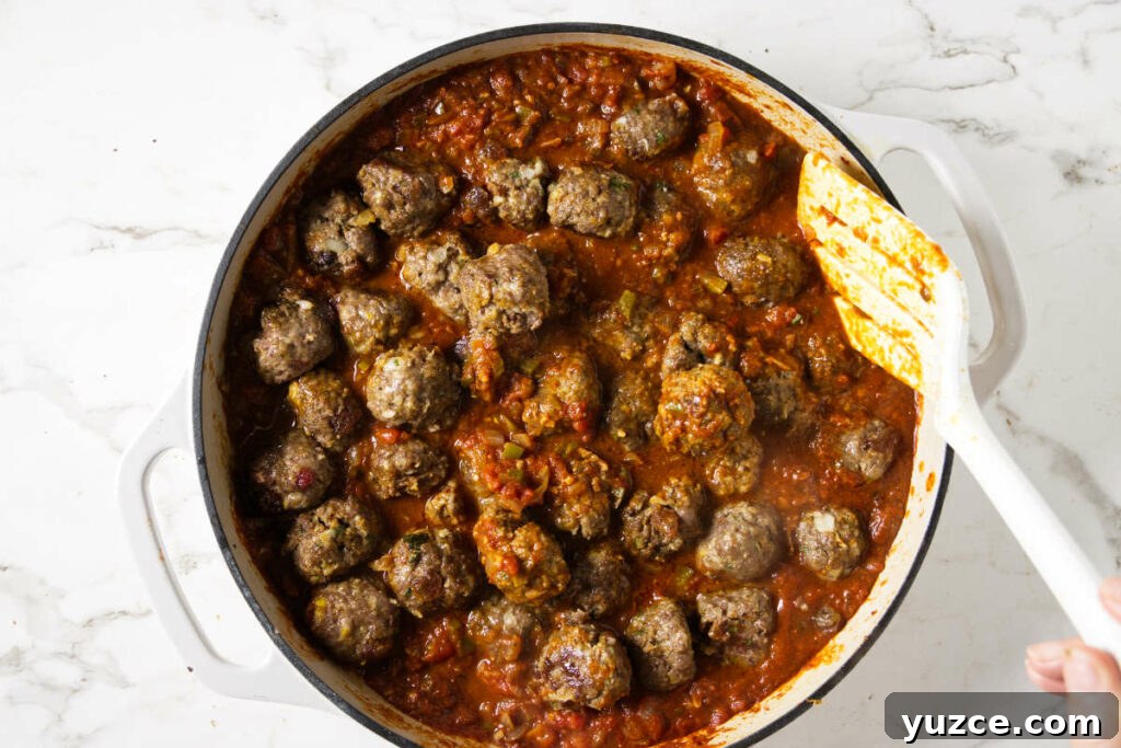 Moroccan Spiced Lamb Meatballs with Tomato Sauce 11 Stirring lamb meatballs into a skillet with tomato sauce.