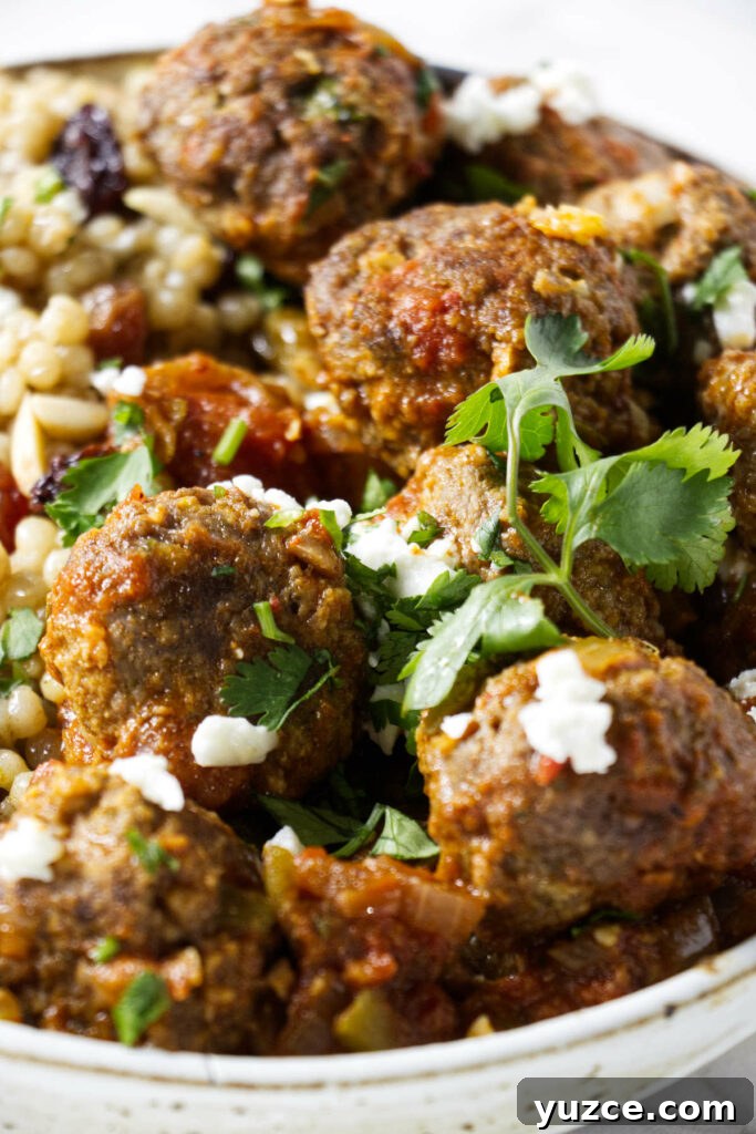Moroccan Spiced Lamb Meatballs with Tomato Sauce 12 Lamb meatballs in a bowl.