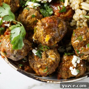 Moroccan Spiced Lamb Meatballs with Tomato Sauce 13 Moroccan lamb meatballs in a bowl with orzo and tomato sauce.