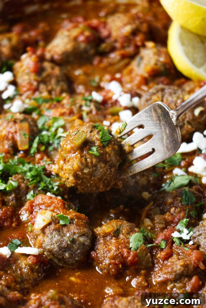 Moroccan Spiced Lamb Meatballs with Tomato Sauce 4 A meatball on a fork.