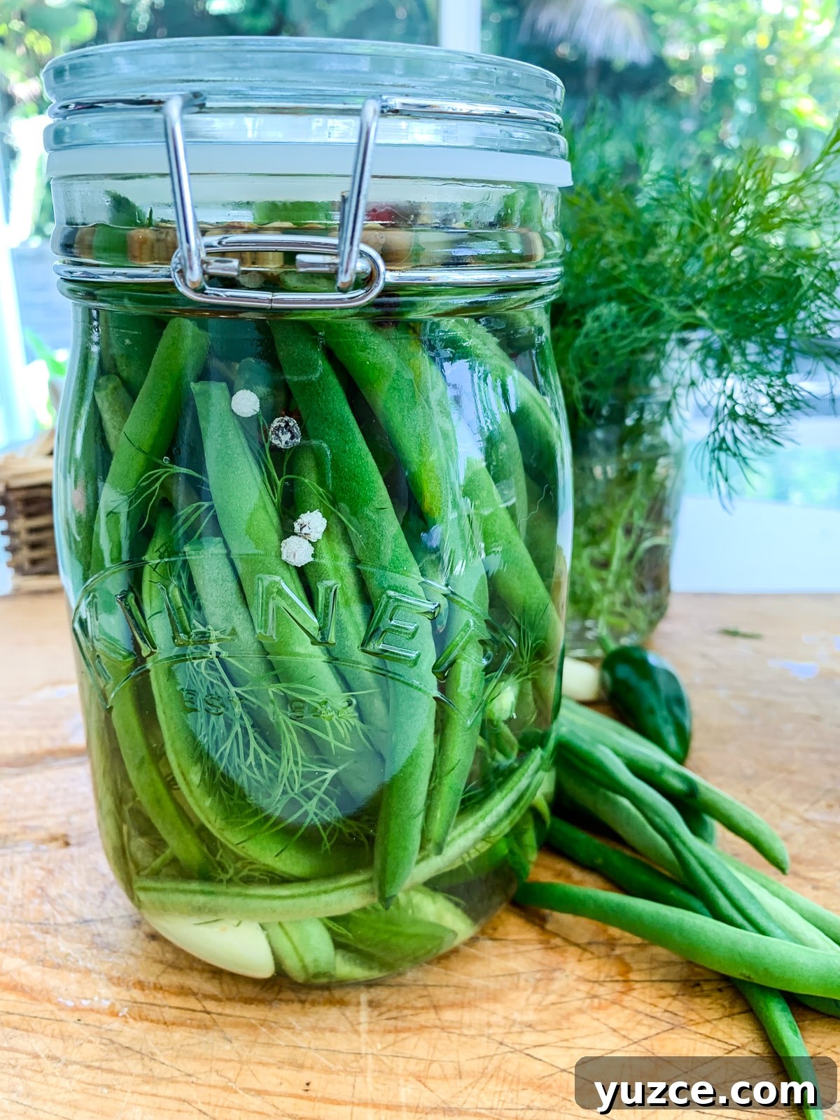Dilly Pickled Green Beans Recipe: Classic Refrigerator Dilly Beans 2 img 12665 1