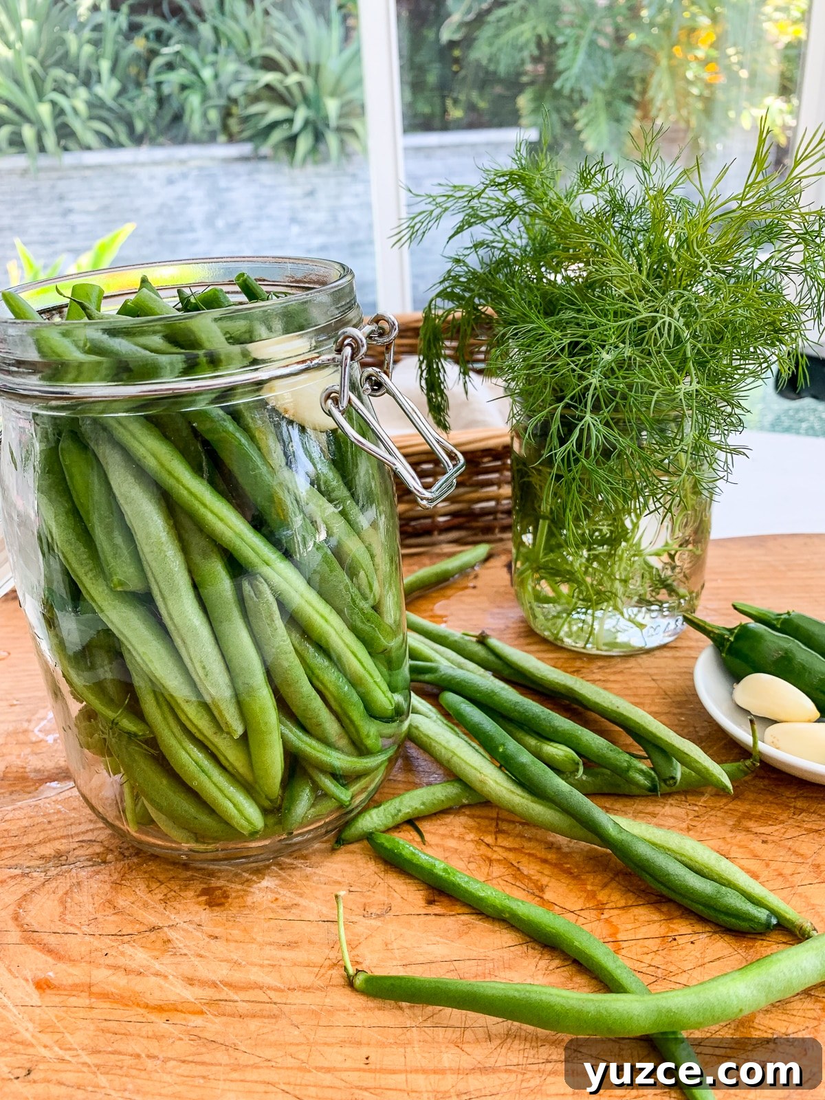 Dilly Pickled Green Beans Recipe: Classic Refrigerator Dilly Beans 13 img 12665 12