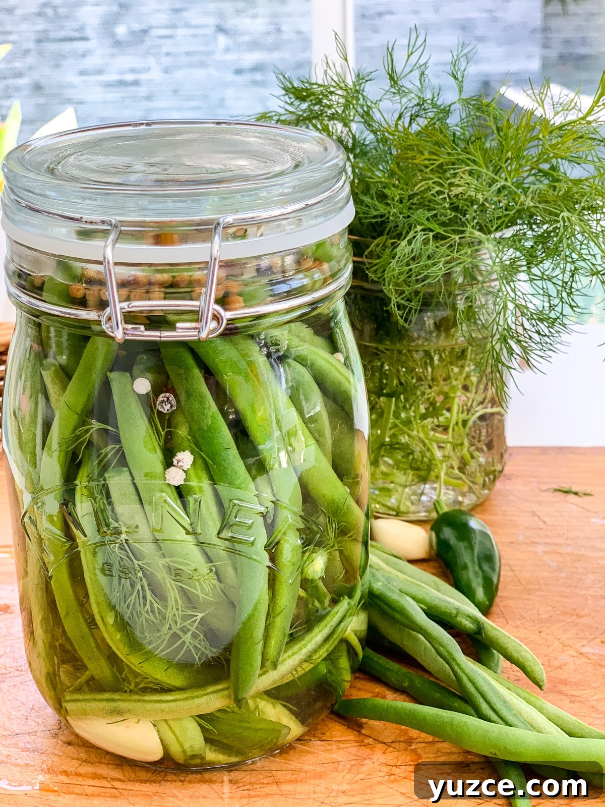 Dilly Pickled Green Beans Recipe: Classic Refrigerator Dilly Beans 14 img 12665 13
