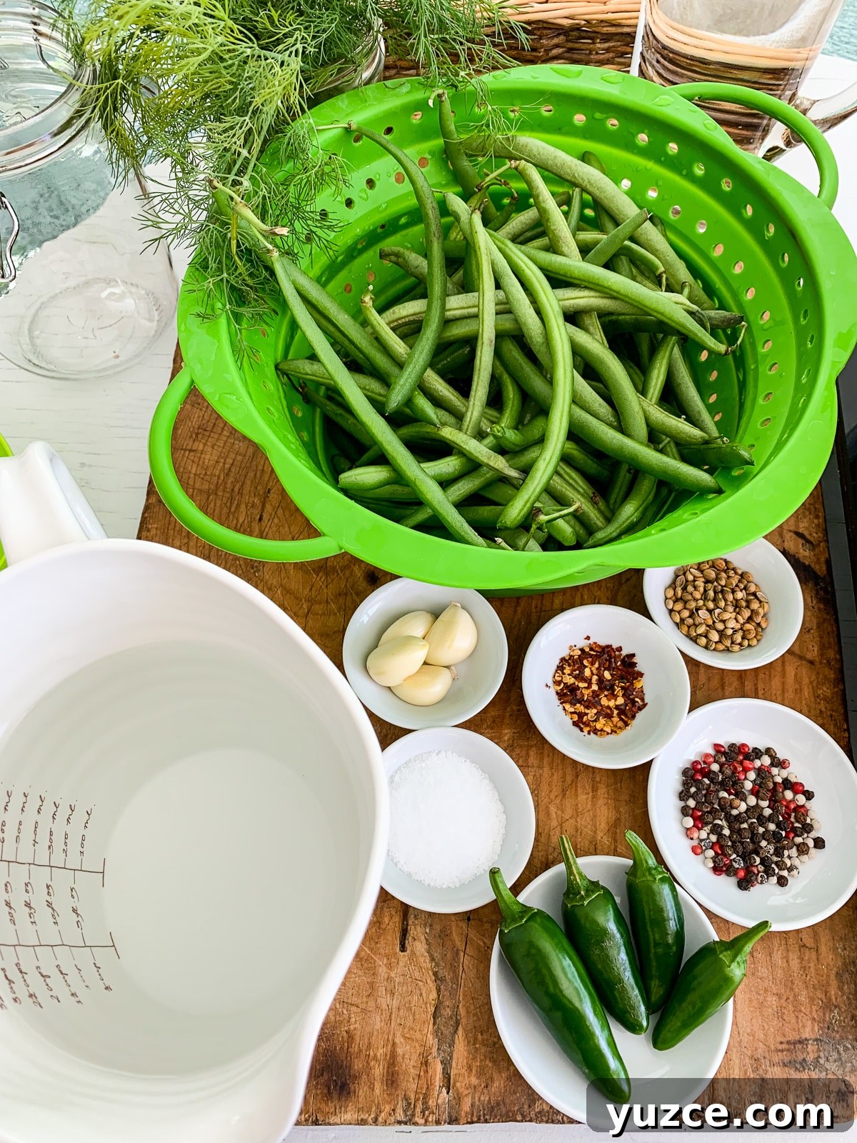 Dilly Pickled Green Beans Recipe: Classic Refrigerator Dilly Beans 4 img 12665 3