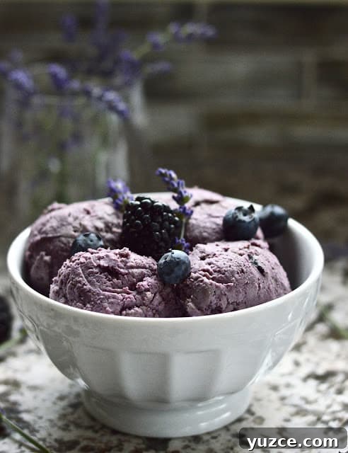 Double-Berry Coconut Ice Cream (Paleo, Dairy-Free) 3 A bowl of dairy free berry coconut ice cream toped with fresh blueberries.