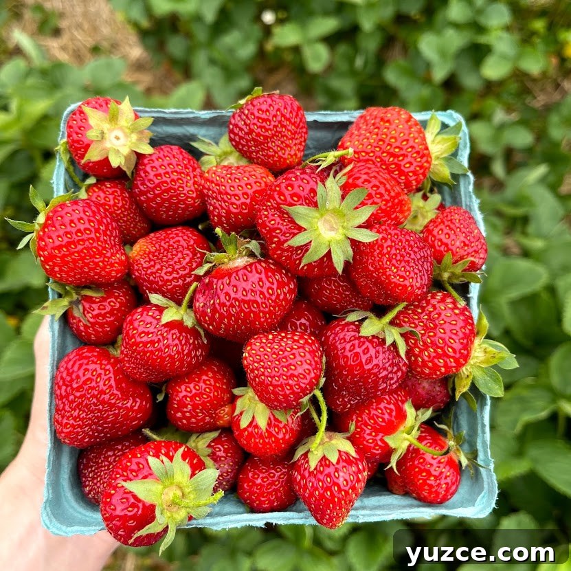 Top Outdoor Activities to Experience in Vermont 11 img 1314 10