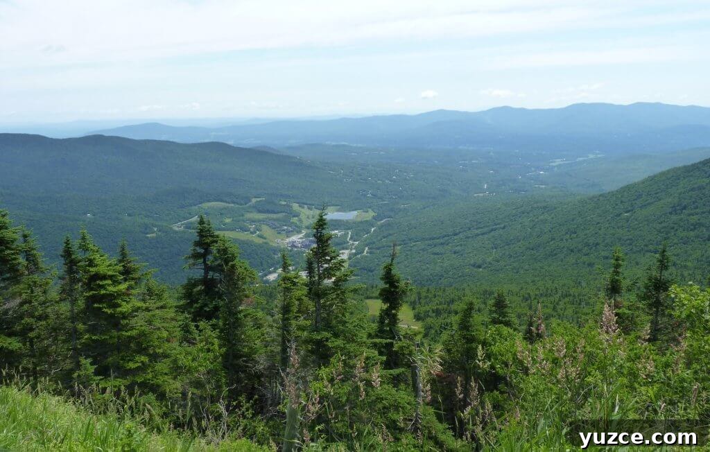 Top Outdoor Activities to Experience in Vermont 12 img 1314 11
